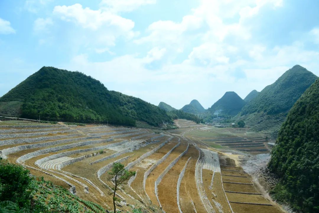 云南文山：“十三五”期間完成石漠化治理89萬畝