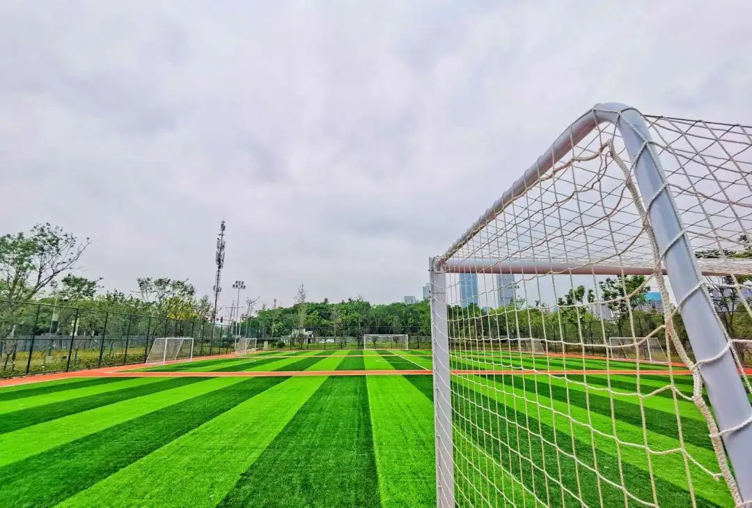 以人口為“定位器”布局體育公園，彰顯民生含金量