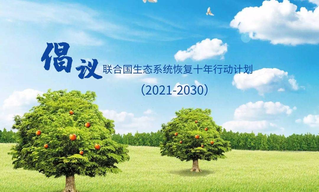 人居要聞|聯(lián)合國(guó)發(fā)布“2021-2030年生態(tài)系統(tǒng)修復(fù)十年”計(jì)劃倡議