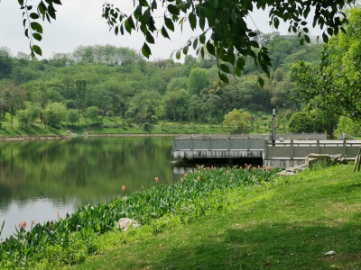 銅鼓湖濕地公園