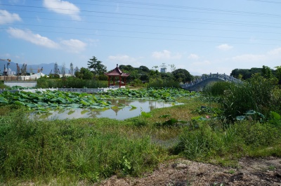 莆田綬溪公園景觀設計