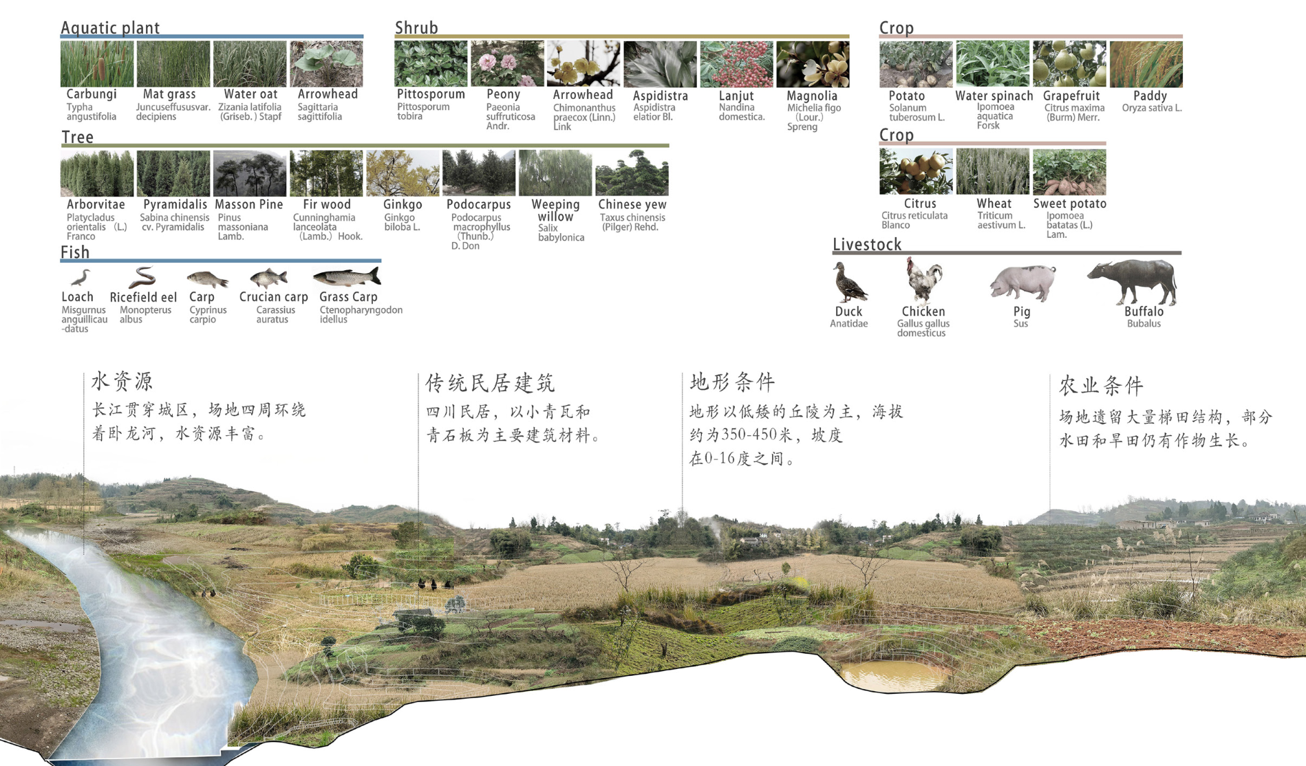 圖4場地動植物資源分析（作者自繪）.png