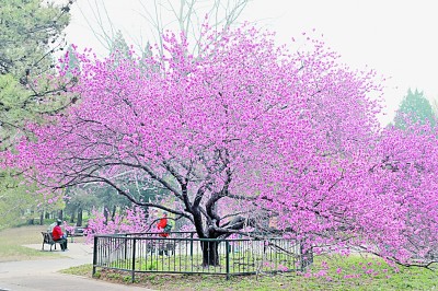 人居要聞|國(guó)家植物園，不只是看起來(lái)很美